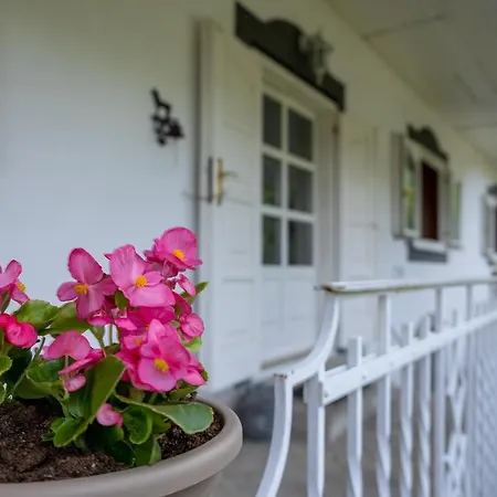 Villa Amalia, Centrum Banska Stiavnica, Parkovanie Pre 2 Auta, Velka Zahrada S Krbom, Amalia Pre 16 Osob Alebo Samostatne Nezavisle Prve Podlazie Ama Pre 8 Osob Alebo Samostatne Nezavisle Podkrovie Lia Pre 8 Osob,pristup Cez Pi *