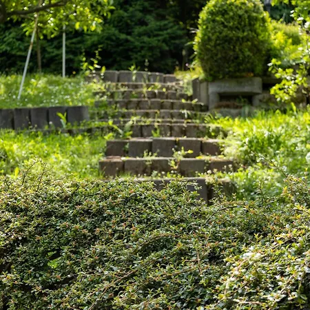 Villa Amalia, Centrum Banska Stiavnica, Parkovanie Pre 2 Auta, Velka Zahrada S Krbom, Amalia Pre 16 Osob Alebo Samostatne Nezavisle Prve Podlazie Ama Pre 8 Osob Alebo Samostatne Nezavisle Podkrovie Lia Pre 8 Osob,pristup Cez Pi *