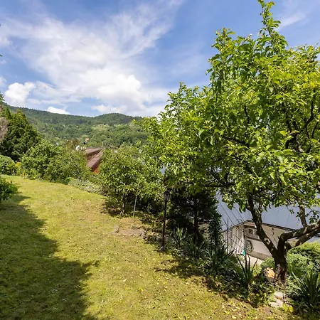 Amalia, Centrum Banska Stiavnica, Parkovanie Pre 2 Auta, Velka Zahrada S Krbom, Amalia Pre 16 Osob Alebo Samostatne Nezavisle Prve Podlazie Ama Pre 8 Osob Alebo Samostatne Nezavisle Podkrovie Lia Pre 8 Osob,prístup Cez Pi Villa *