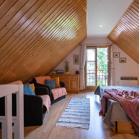 Amalia, Centrum Banska Stiavnica, Parkovanie Pre 2 Auta, Velka Zahrada S Krbom, Amalia Pre 16 Osob Alebo Samostatne Nezavisle Prve Podlazie Ama Pre 8 Osob Alebo Samostatne Nezavisle Podkrovie Lia Pre 8 Osob,pristup Cez Pi * Banská Štiavnica