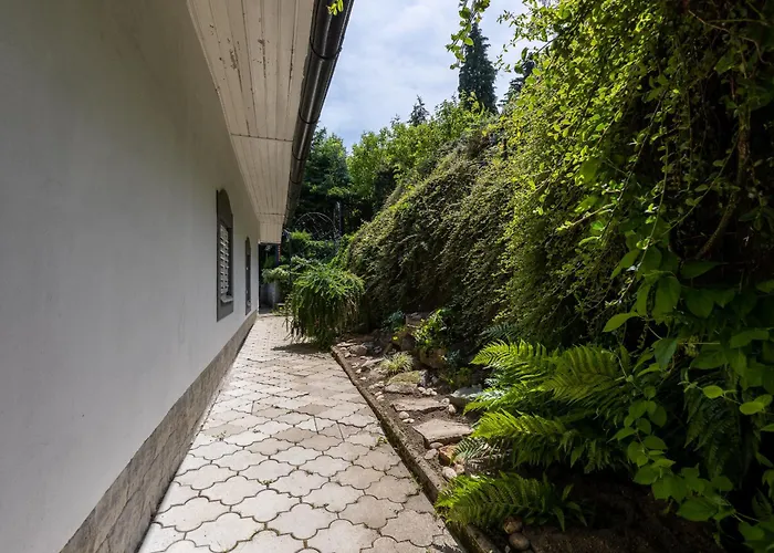 Amalia, Centrum Banska Stiavnica, Parkovanie Pre 2 Auta, Velka Zahrada S Krbom, Amalia Pre 16 Osob Alebo Samostatne Nezavisle Prve Podlazie Ama Pre 8 Osob Alebo Samostatne Nezavisle Podkrovie Lia Pre 8 Osob,pristup Cez Pi Banská Štiavnica