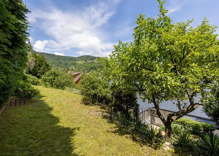 Amalia, Centrum Banska Stiavnica, Parkovanie Pre 2 Auta, Velka Zahrada S Krbom, Amalia Pre 16 Osob Alebo Samostatne Nezavisle Prve Podlazie Ama Pre 8 Osob Alebo Samostatne Nezavisle Podkrovie Lia Pre 8 Osob,pristup Cez Pi Βίλα *